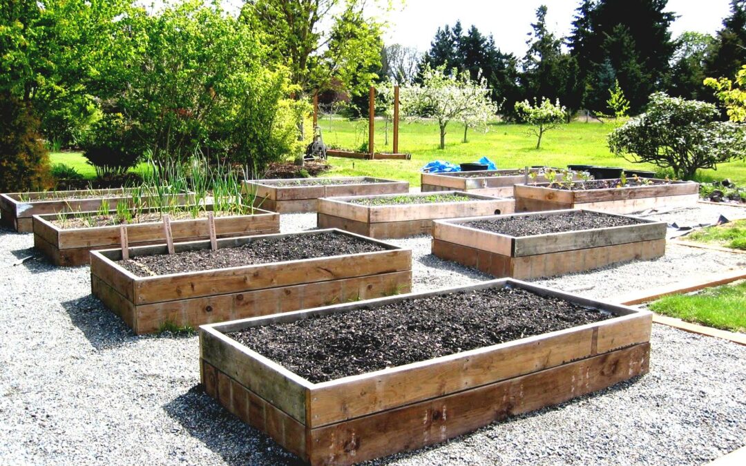 Tips on Adding an Edible Garden in Your Backyard